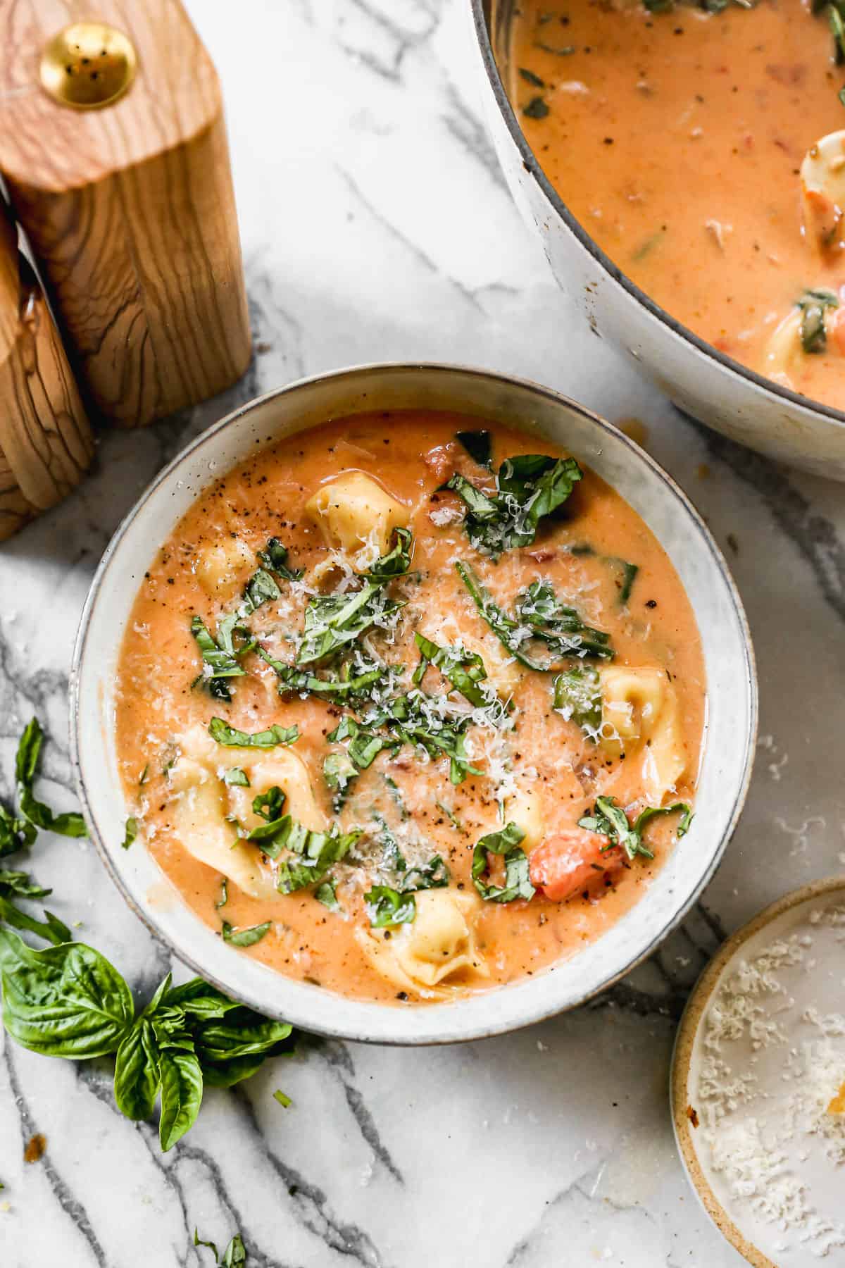 Fall Special! Creamy Vegetarian Tortellini Soup