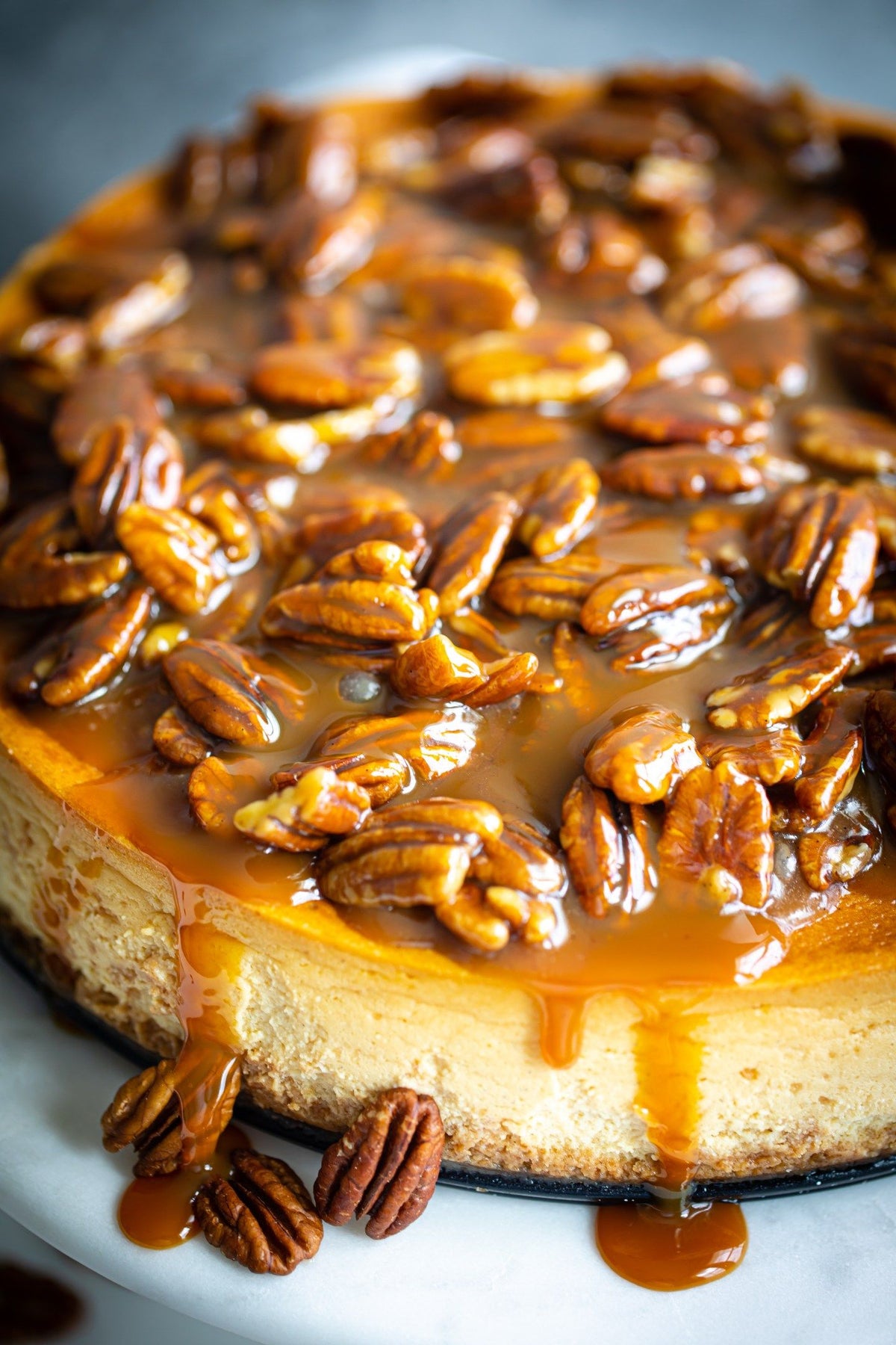 Butter Pecan Cheesecake